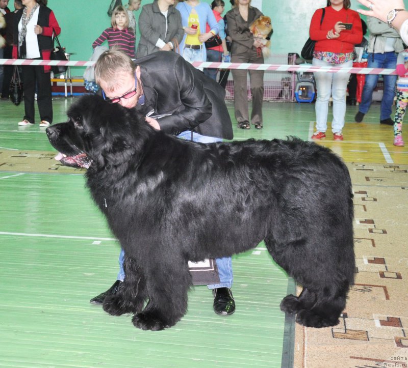 Фотография № 206072