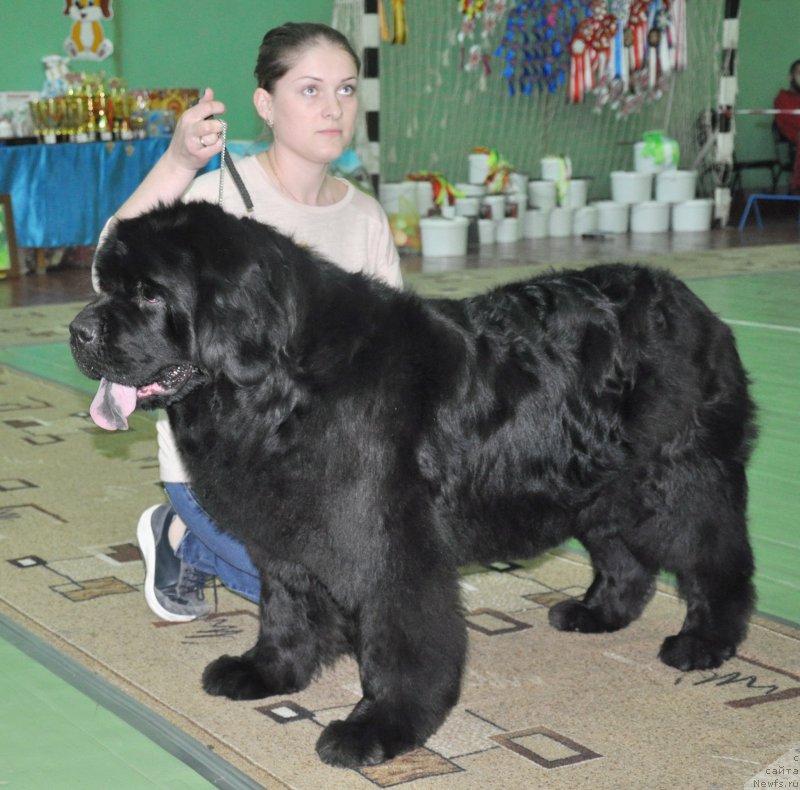 Фотография № 206076