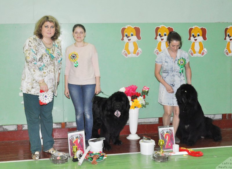 Фотография № 206078