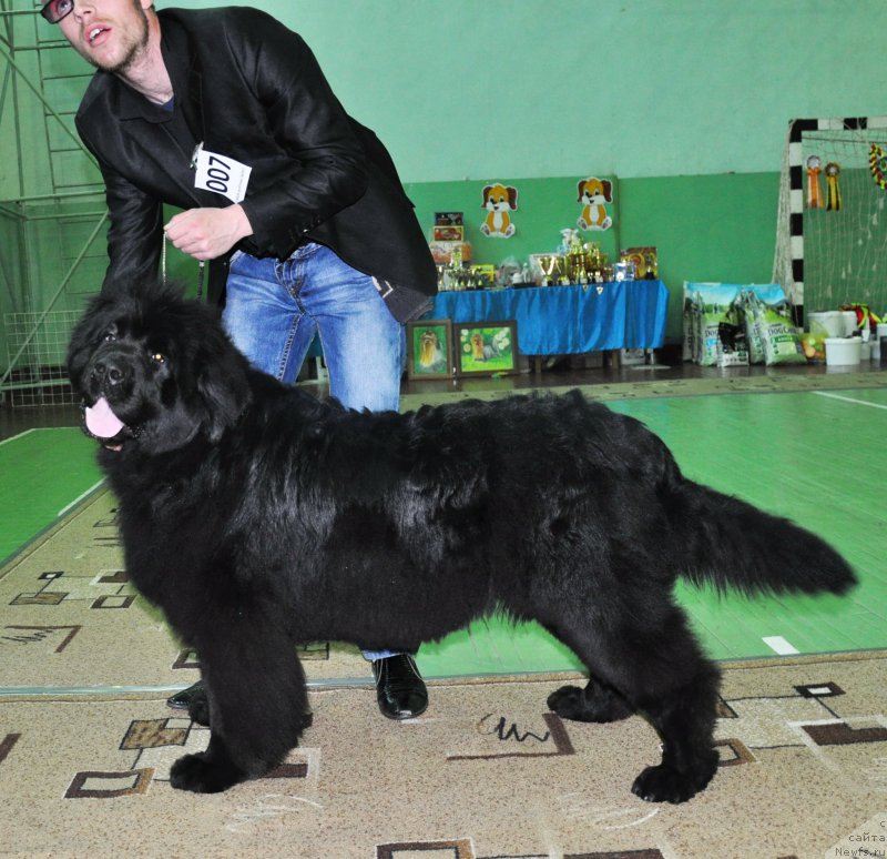 Фотография № 206079