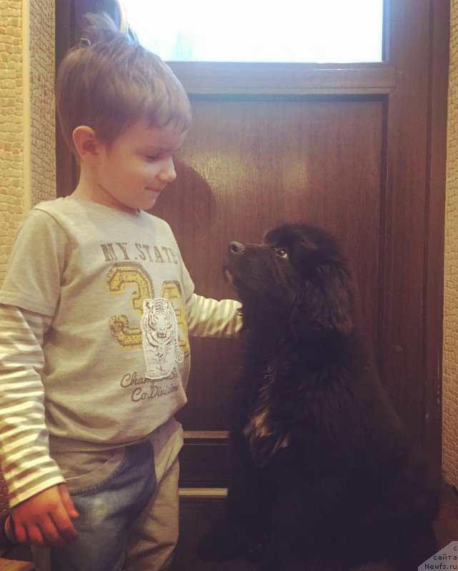 Фотография № 206133