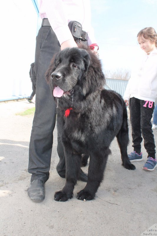 Фотография № 206142