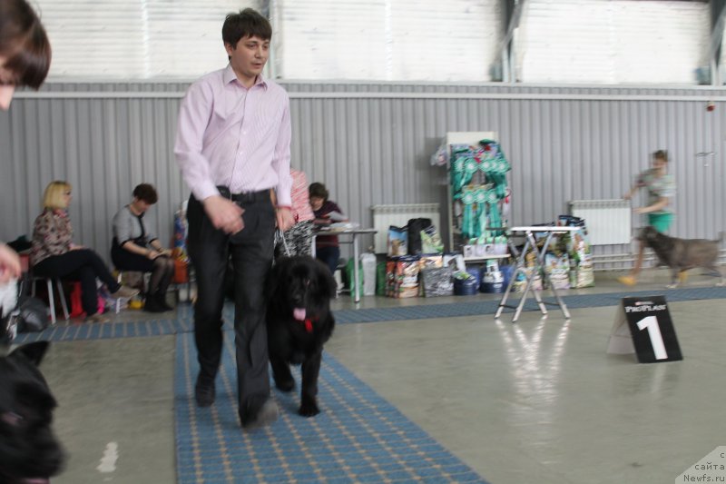 Фотография № 206143