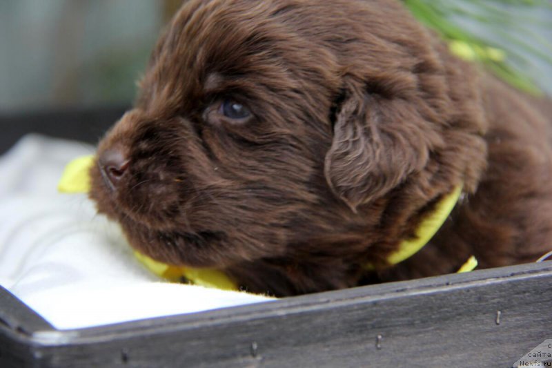 Фотография № 206145