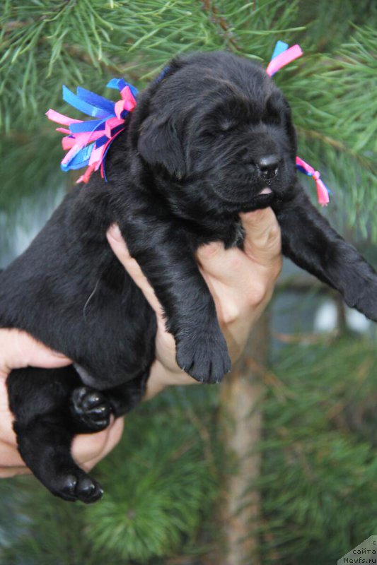 Фотография № 206151