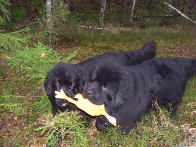 Фотография № 20616