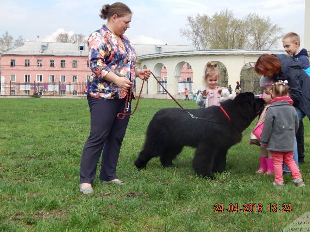 Фотография № 206176