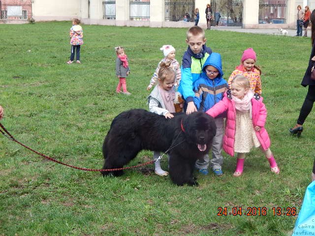 Фотография № 206177