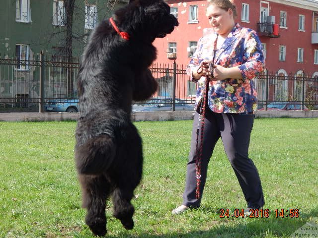 Фотография № 206183