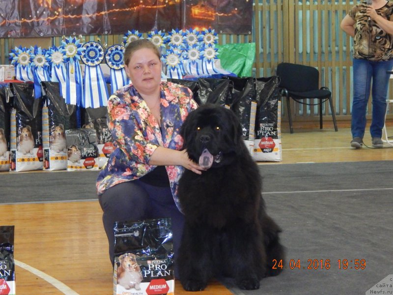 Фотография № 206184