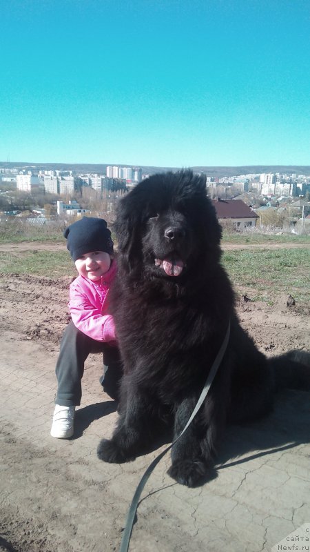 Фотография № 206190