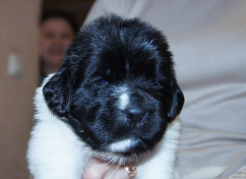 Фотография № 206192