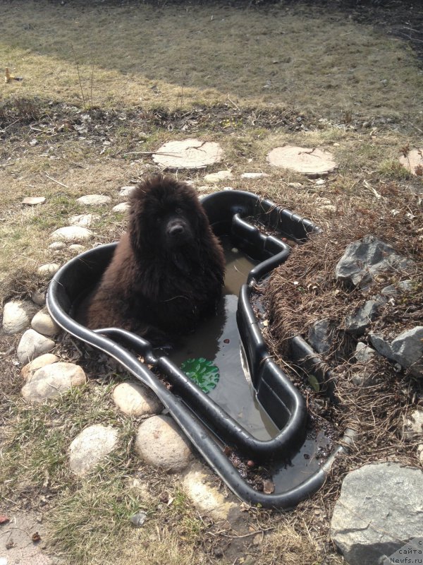 Фотография № 206206