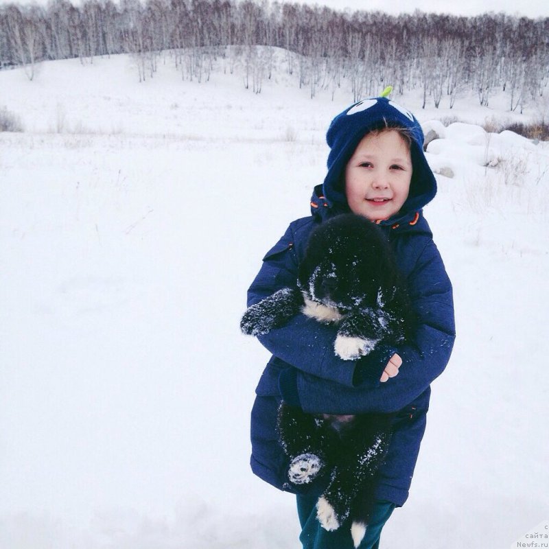 Фотография № 206207