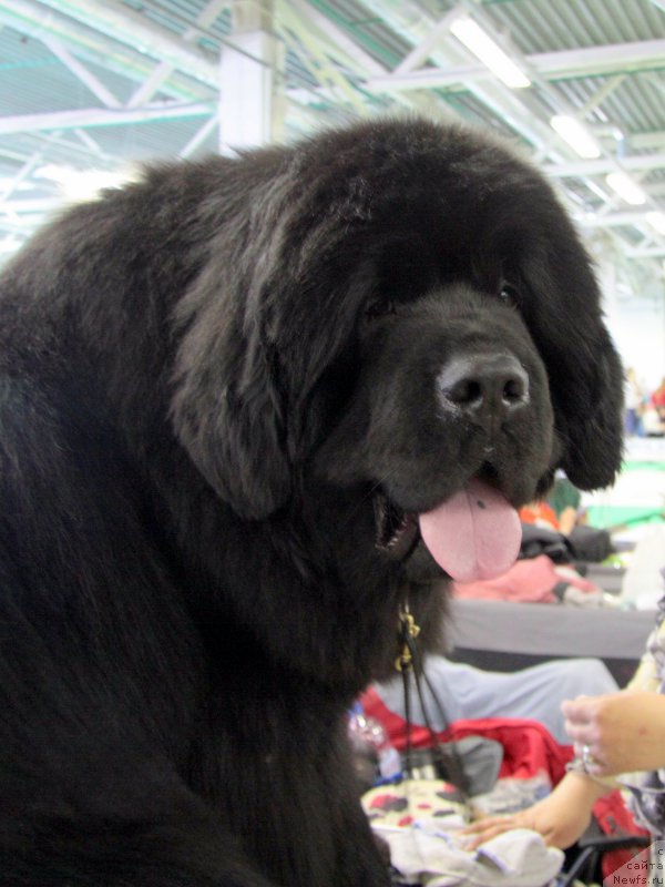 Фотография № 206226