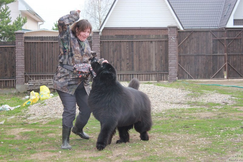 Фотография № 206244