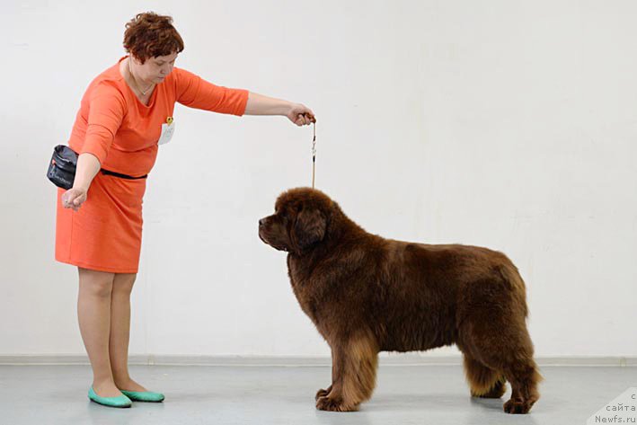 Фотография № 206256