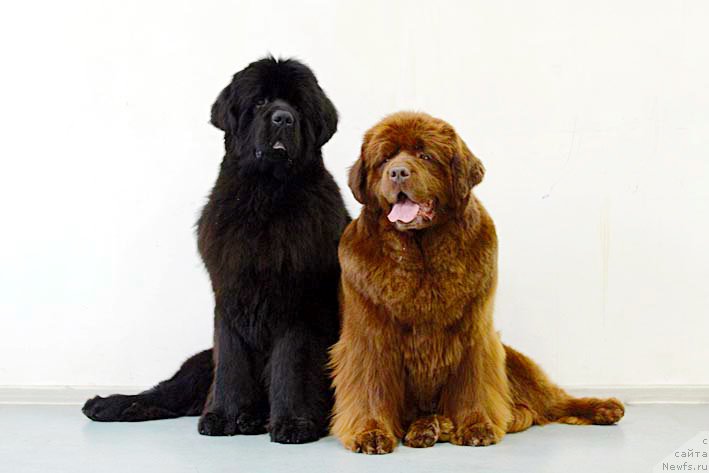 Фотография № 206258