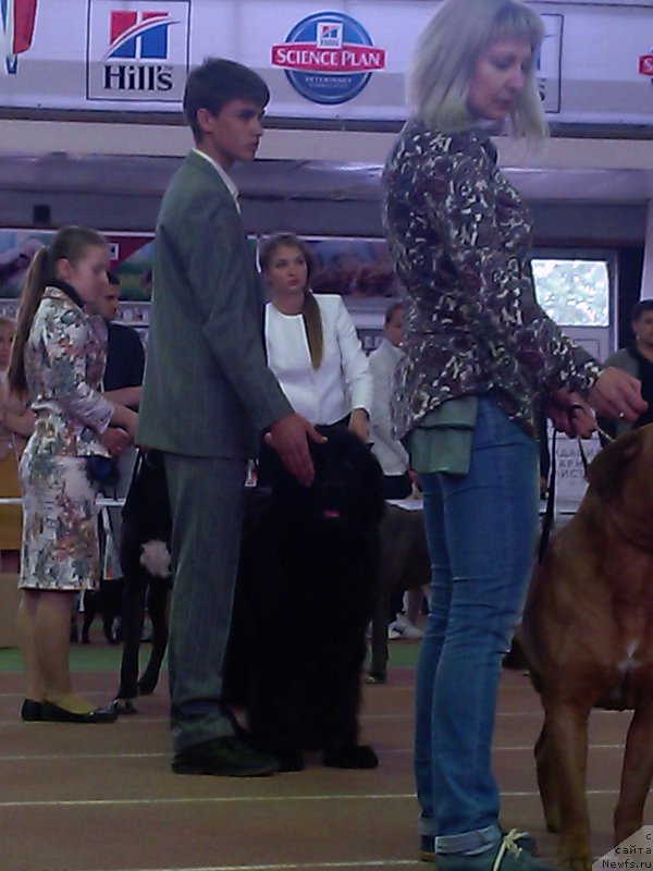 Фотография № 206277