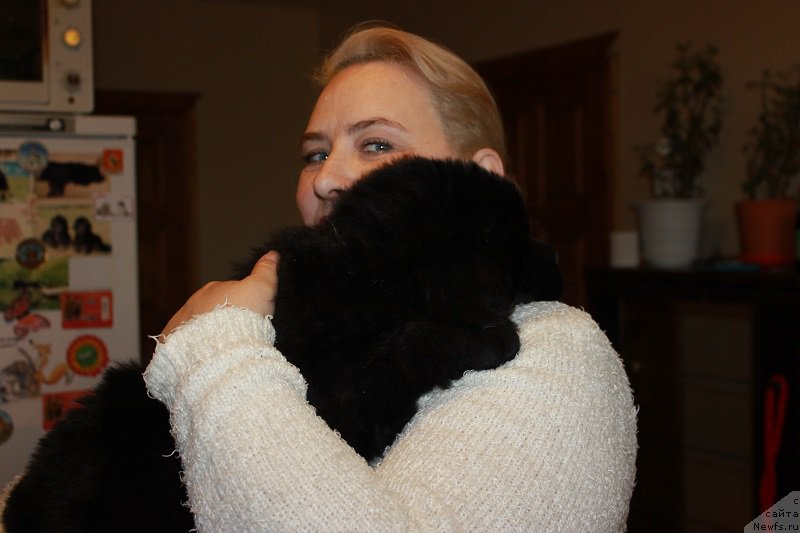 Фотография № 206279