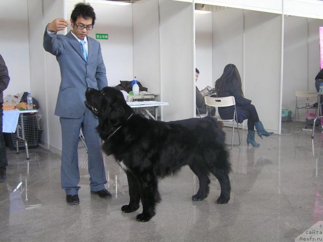 Фотография № 20628