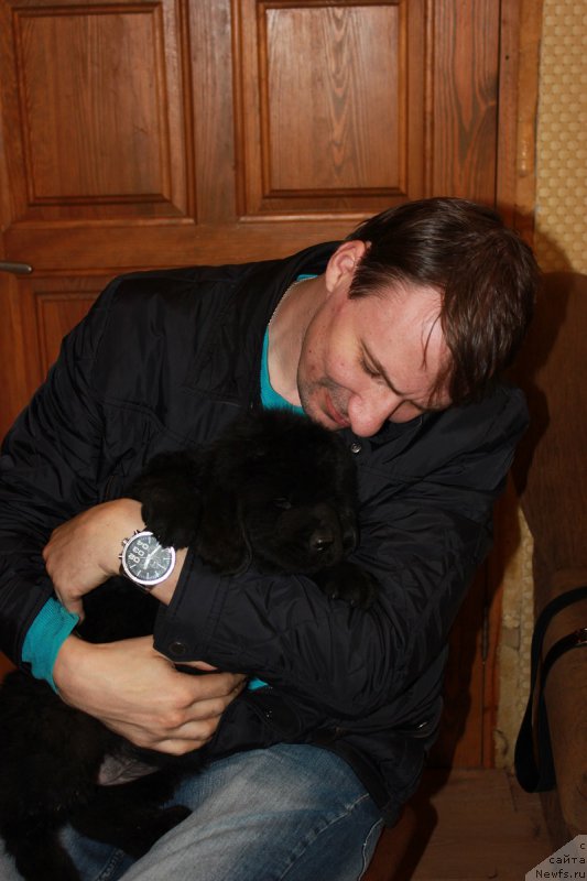 Фотография № 206280