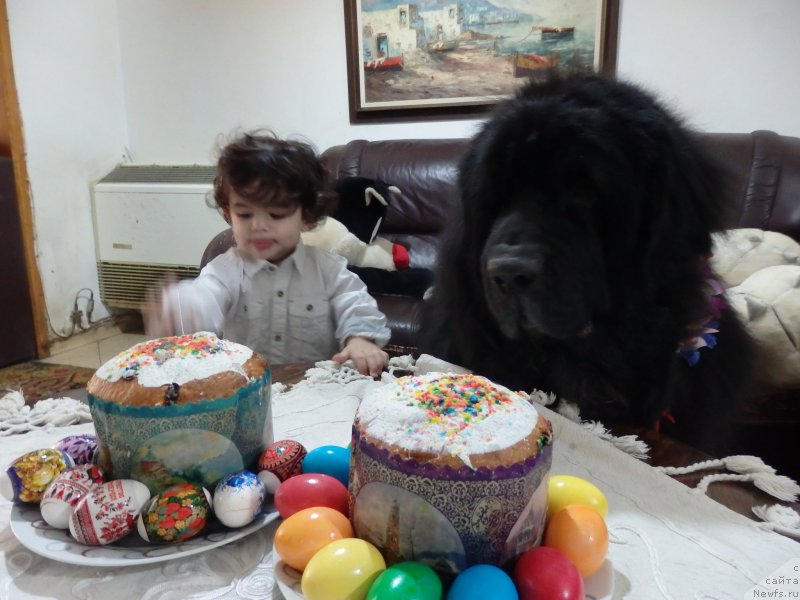 Фотография № 206312