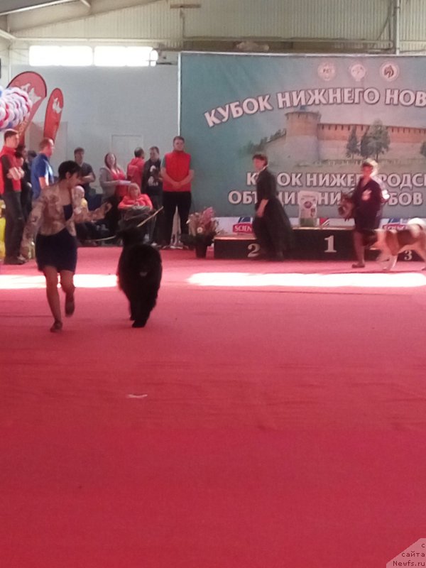 Фото: Ekaterina Naumova (Екатерина Наумова)