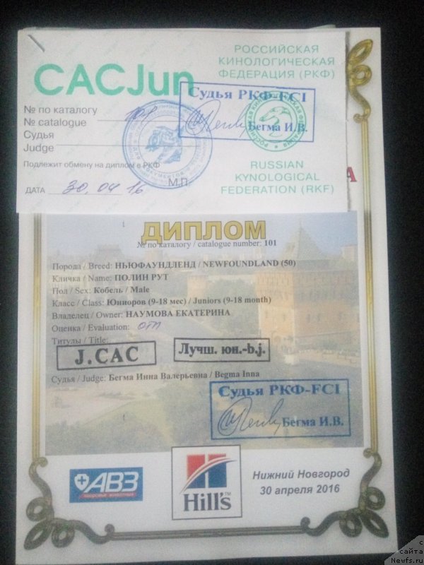 Фото: Ekaterina Naumova (Екатерина Наумова)