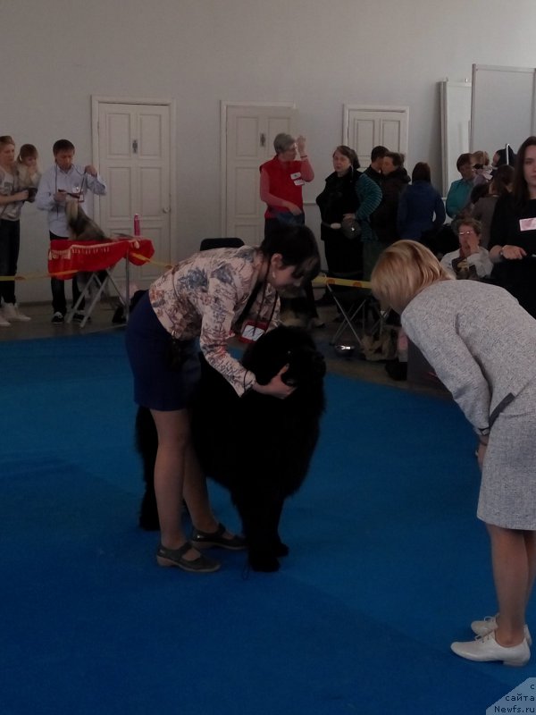 Фото: Ekaterina Naumova (Екатерина Наумова)