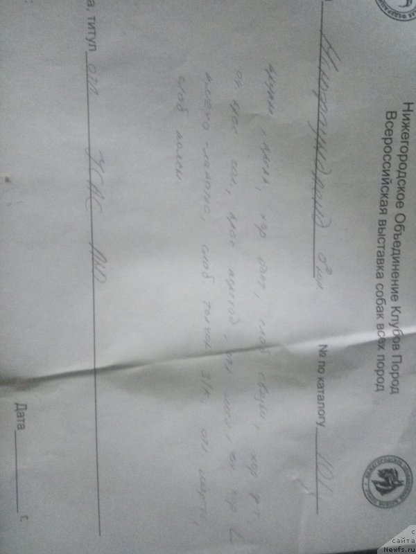 Фото: Ekaterina Naumova (Екатерина Наумова)