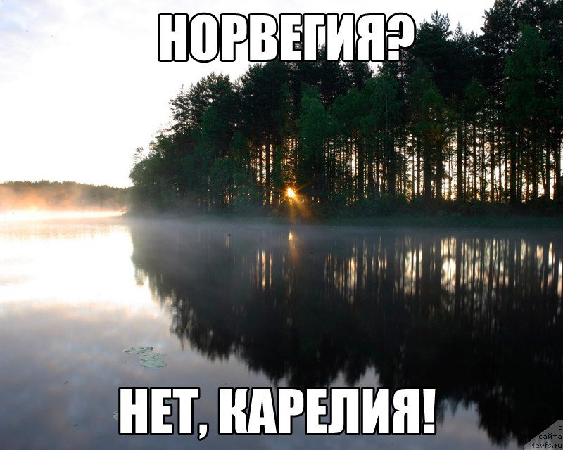 Фото: ньюфаундленд Baffi ot Karel'skih Medvedey (Баффи от Карельских Медведей)