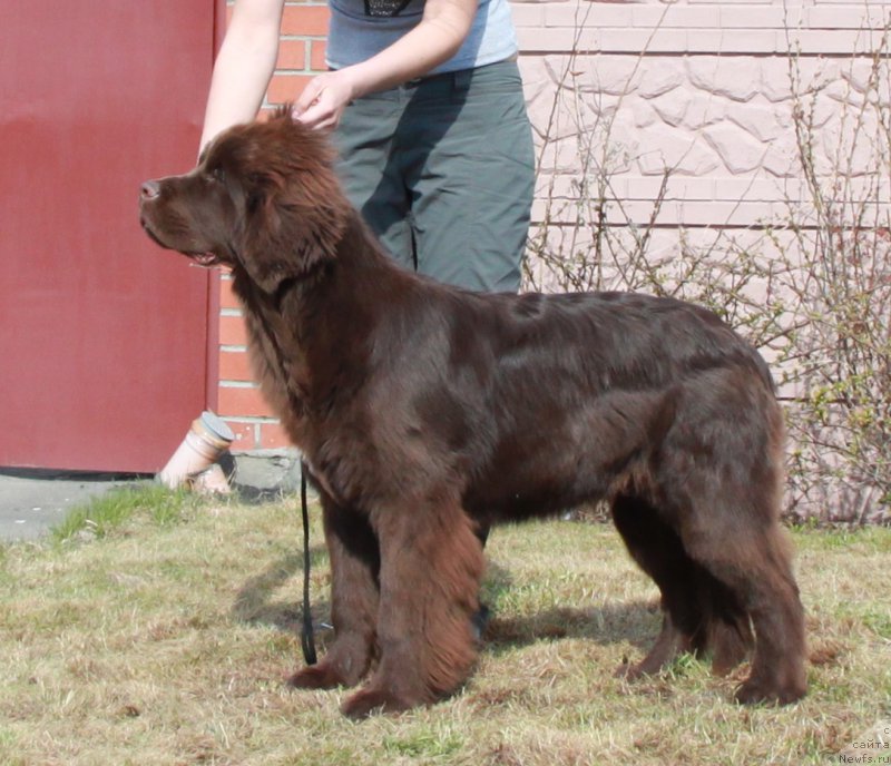 Фотография № 206397