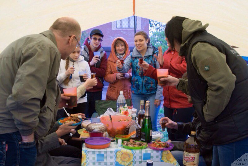 Фотография № 206400