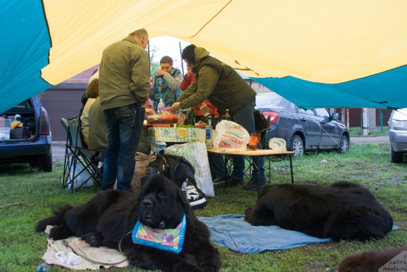 Фотография № 206401