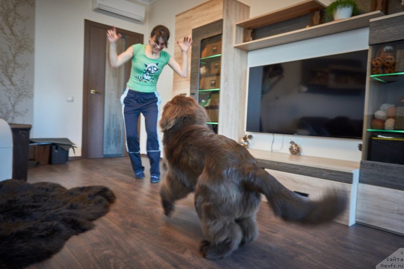 Фотография № 206409