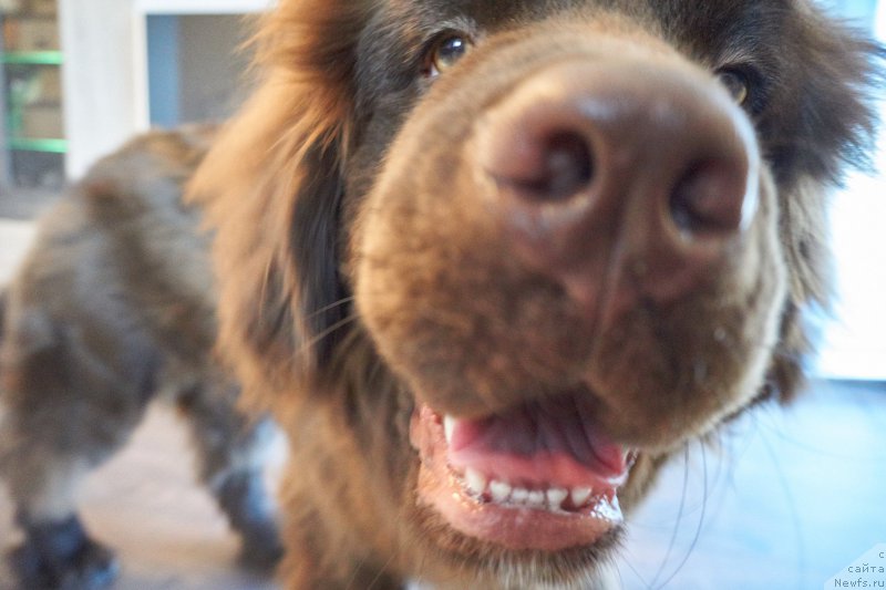 Фотография № 206410