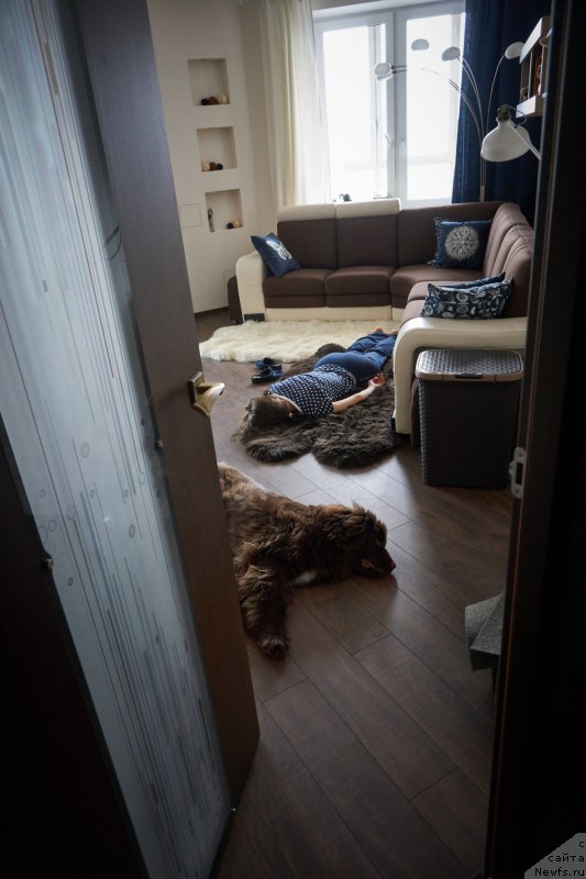 Фотография № 206411