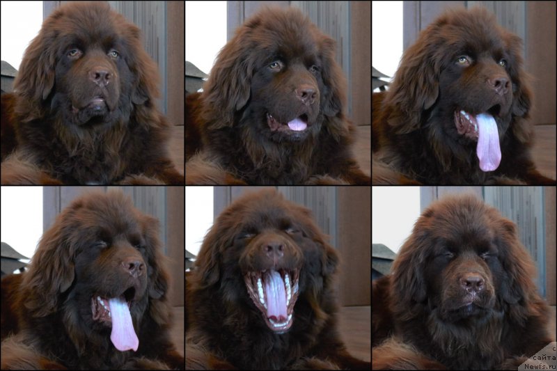 Фотография № 206412