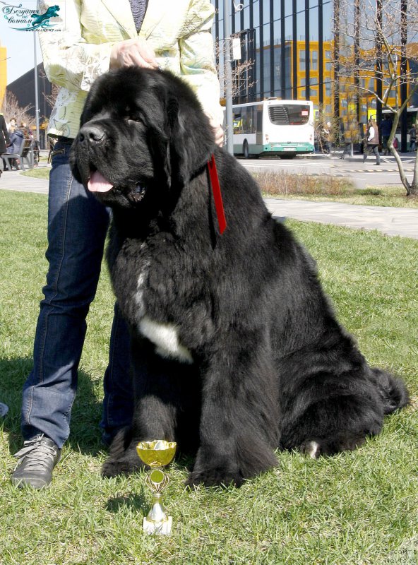 Фотография № 206457