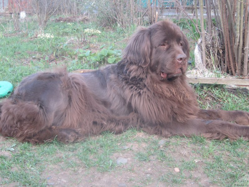 Фото: Natal'ya Smazchikova (Наталья Смазчикова)