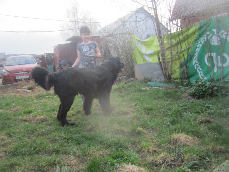 Фото: Natal'ya Smazchikova (Наталья Смазчикова)