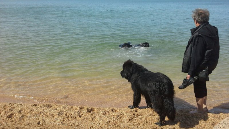 Фото: Natal'ya Smazchikova (Наталья Смазчикова)