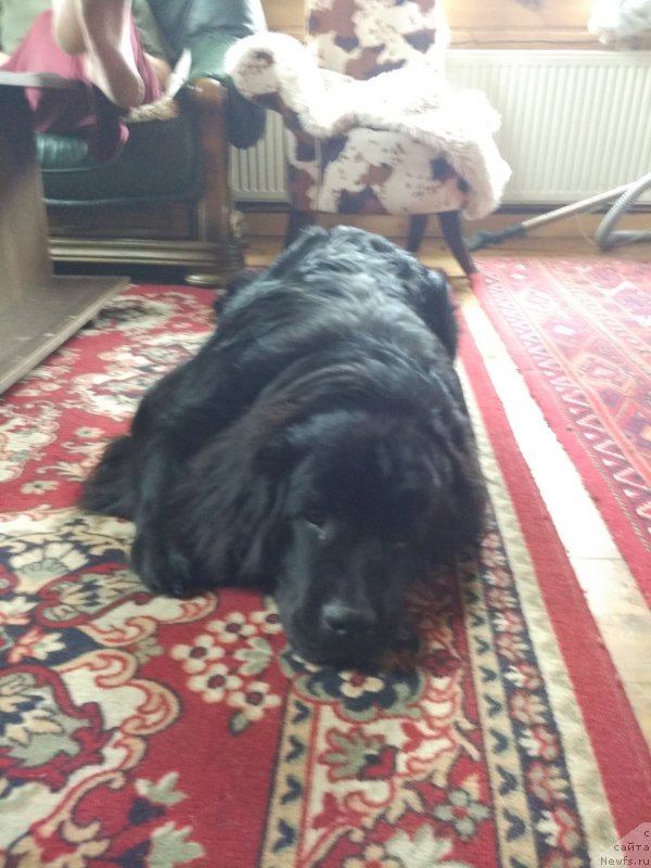 Фото: Natal'ya Smazchikova (Наталья Смазчикова)