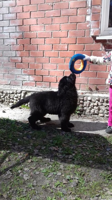 Фотография № 206489