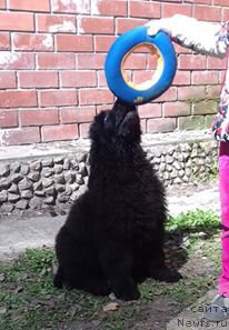 Фотография № 206490