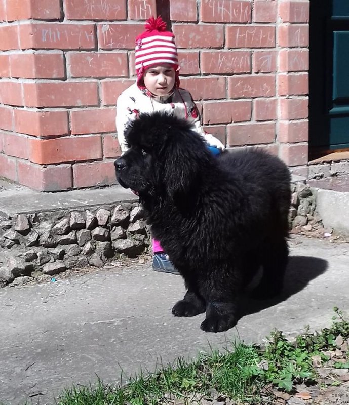 Фотография № 206493