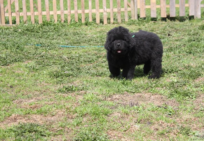 Фотография № 206518