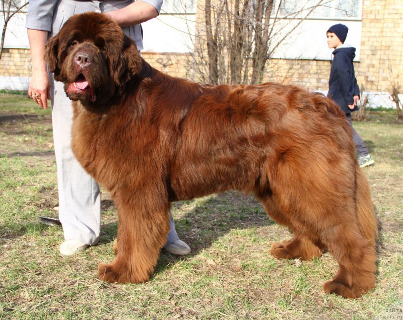 Фотография № 206522