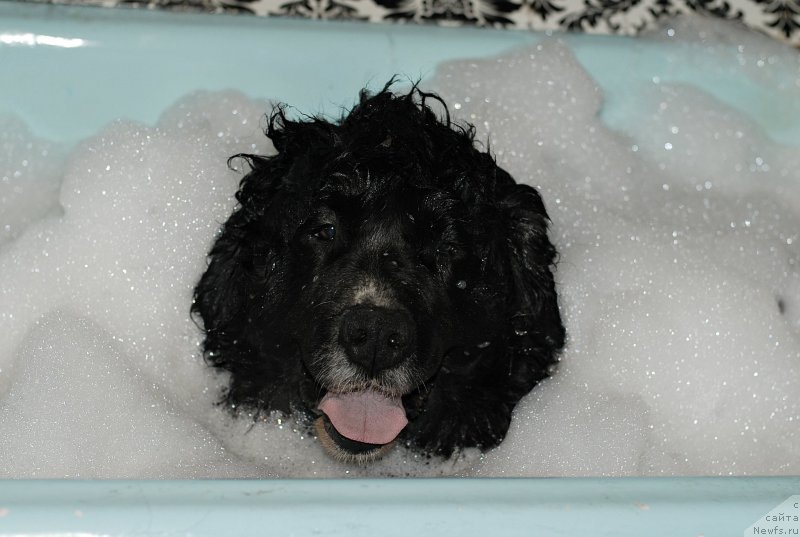 Фотография № 206534